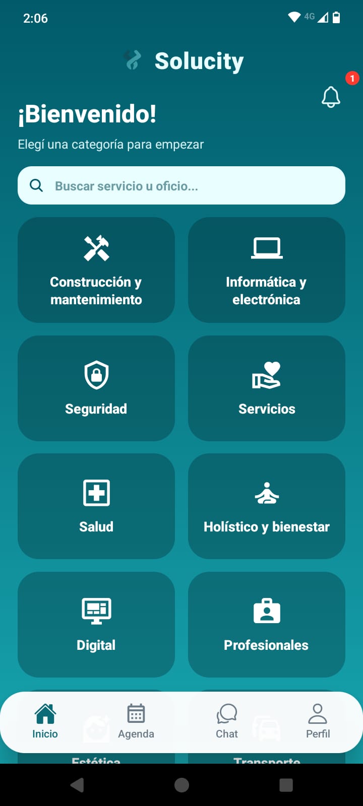 Vista previa de Solucity